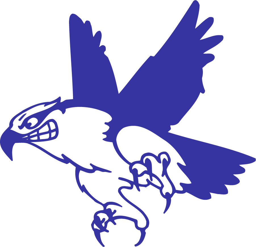 UMass Lowell River Hawks 1997-2006 Secondary Logo diy iron on heat transfer